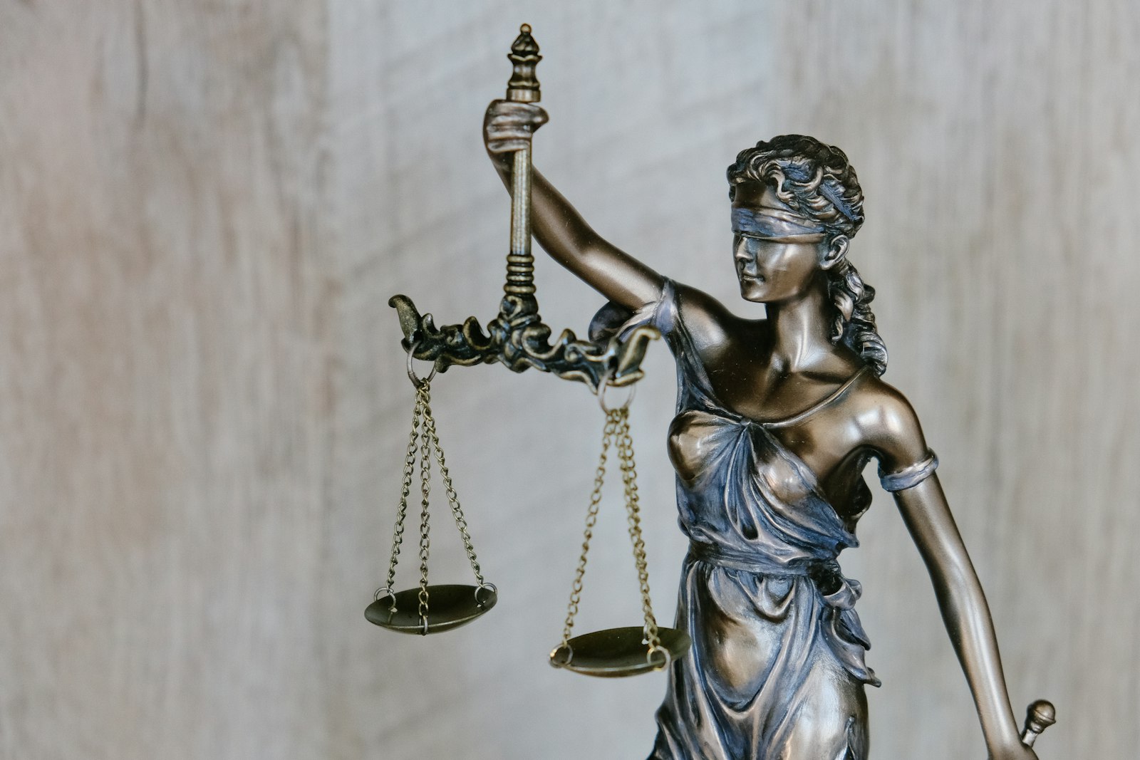Civil Litigation Support
