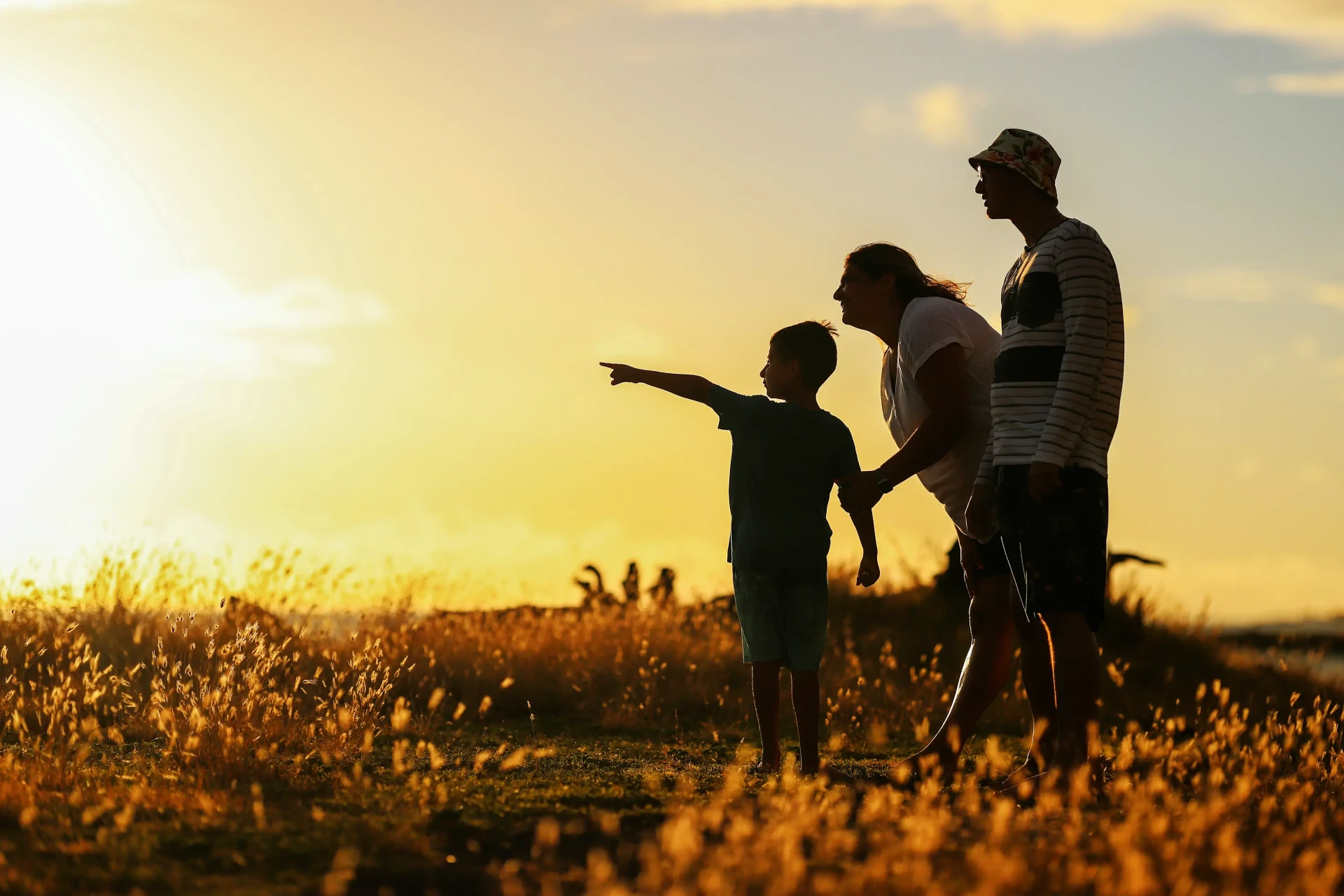 Family Law Services